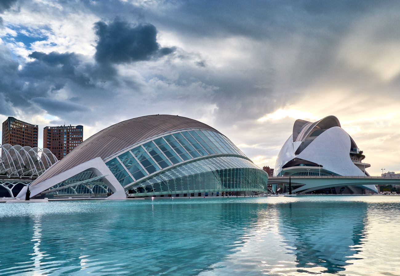 Estudio en Valencia - Mediterraneum. Suite F. 