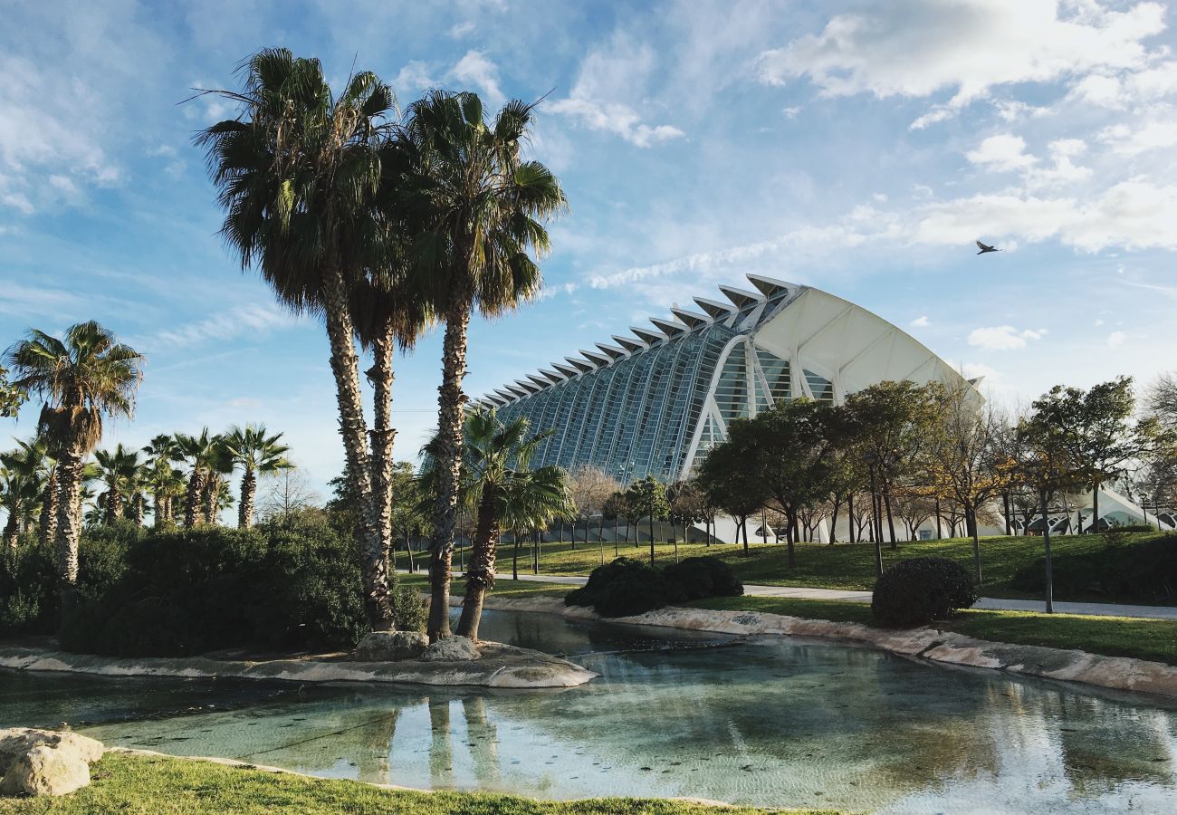 Estudio en Valencia - Guillem Jáfer